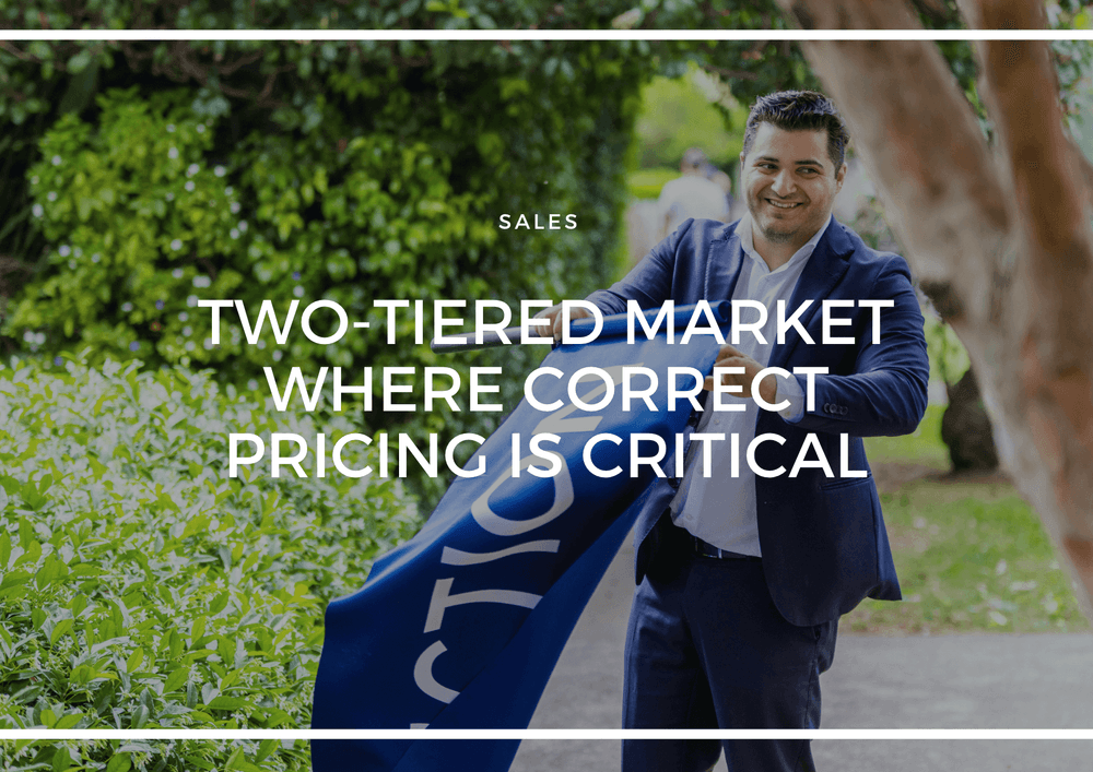 TWO-TIERED MARKET WHERE CORRECT PRICING IS CRITICAL